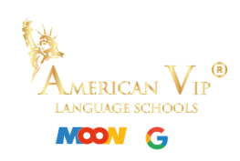 American VIP footer logo